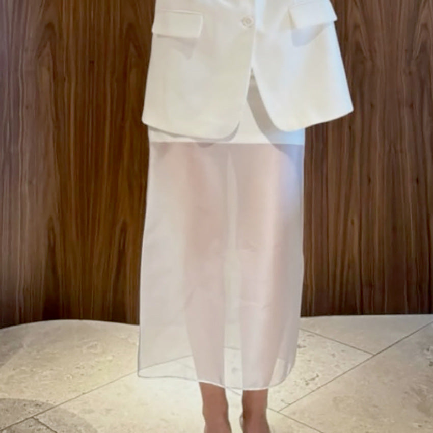 Designer-style Sheer High-waist Skirt For Women - Eve & Kith