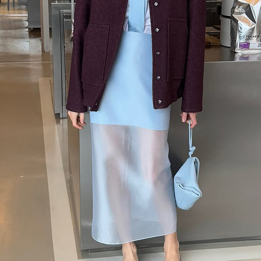 Designer-style Sheer High-waist Skirt For Women - Eve & Kith