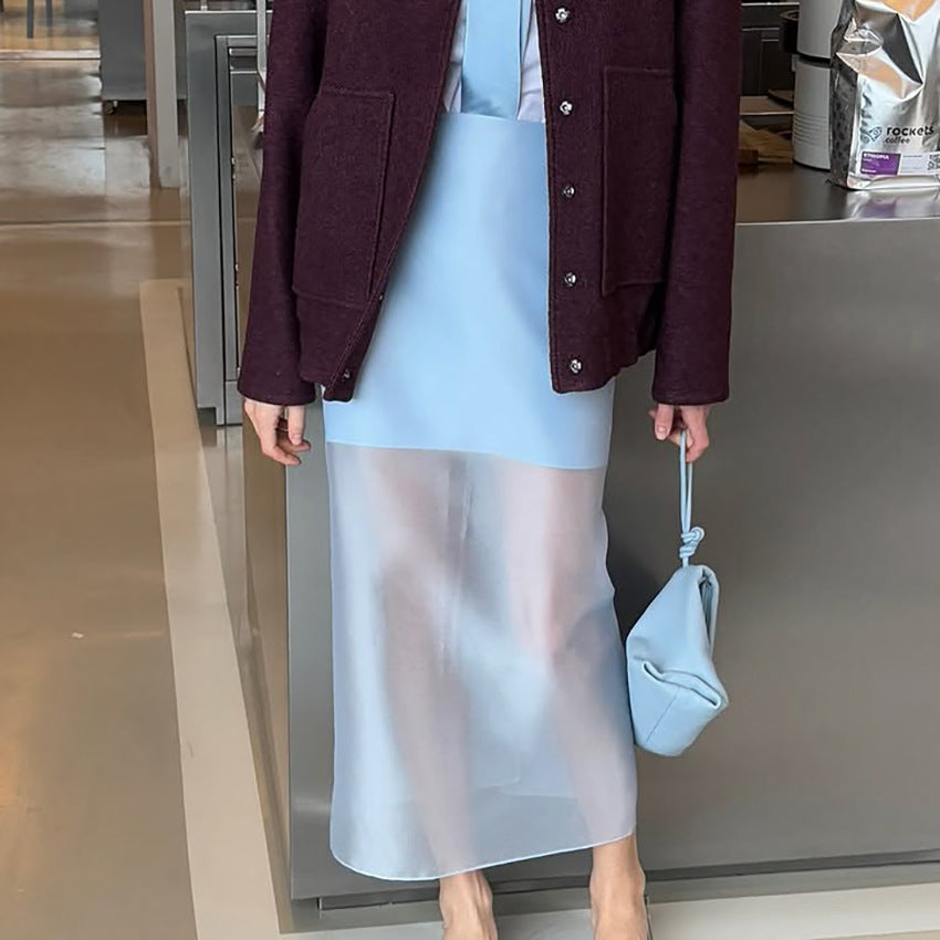 Designer-style Sheer High-waist Skirt For Women - Eve & Kith